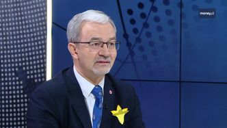 Euro w Polsce. Minister rozwoju: na razie nie, w przyszłości tak