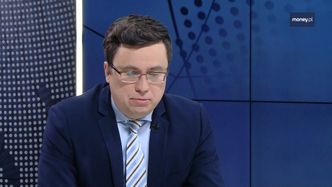 Euro w Polsce. "Argument wzrostu cen to mit"