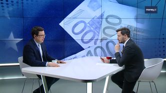 Euro w Polsce. "Pytanie, w jakiej perspektywie możemy dogonić Niemcy"
