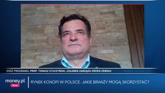 Program Money.pl 25.01 | Polska branża konopi szybko się rozwija. "Mamy swoje 5 minut"