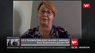 Aukcja koni "Pride of Poland" w Janowie Podlaskim. W 2020 roku nie ma się czym chwalić