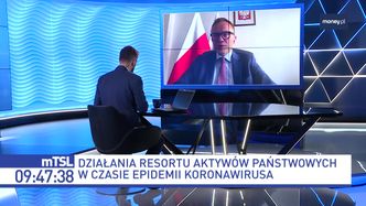 Polski Holding Spożywczy ma powstać do końca roku. "Nie chcę prężyć muskułów bez uzasadnienia"