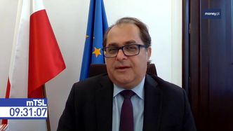 Przekop Mierzei Wiślanej. "Rosji nie chodzi o żadną ekologię, ale o przyszłość"