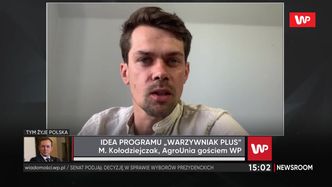 Państwowa sieć sklepów. "To wypaczanie wolnego rynku. Nie tędy droga"