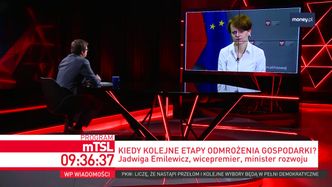 III etap odmrażania gospodarki. Emilewicz: wytyczne dla restauracji i fryzjerów w tym tygodniu