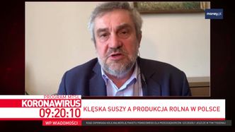 Susza w Polsce. "Żywności nam nie zabraknie"