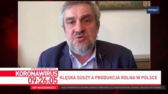 Drogi drób, wołowina i mleko. Rząd reaguje. "Będą kontrole w sklepach"