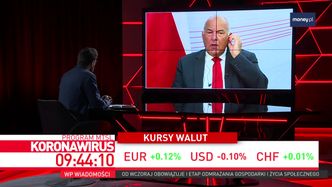 Tarcza antykryzysowa. Minister tłumaczy, skąd weźmie pieniądze