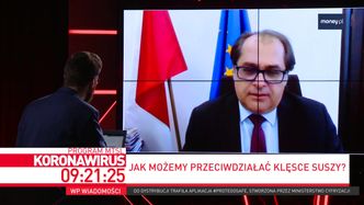 Susza w Polsce. Minister apeluje: "prysznic zamiast kąpieli"