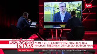 Tarcza finansowa nie dla samozatrudnionych. Prezes PFR tłumaczy