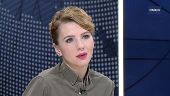 Wzrósł import drewna z Czech. "Jest plaga kornika. Czesi mają dużo drewna"