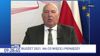 Podatek handlowy. Kościński: ceny nie wzrosną