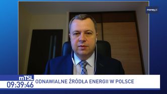 OZE w Polsce. W jakim kierunku zmierzamy?