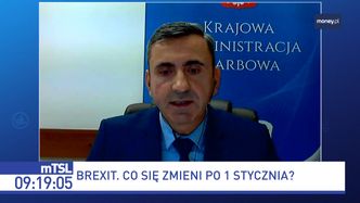Brexit. Zmiany od nowego roku. "Będą nowe cła i formalności"