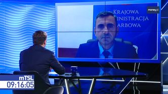 Koronawirus. Kraje zawieszają ruch z Wielką Brytanią. Kilka krajów może mieć problem