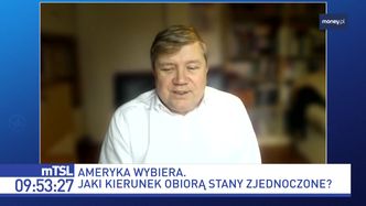 Rola Polonii w wyborach w USA. Polacy głosują głównie w bastionach demokratów