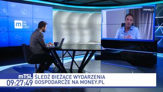 Luki w polskim prawie, pieniądze wyciekają. "Uszczelnianie cały czas musi postępować"