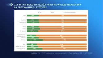Wakacje 2020. Polacy zostają w domu. Strach czy brak pieniędzy?