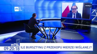 Bursztyn z przekopu Mierzei. Atrakcja turystyczna zamiast wielkiego wydobycia