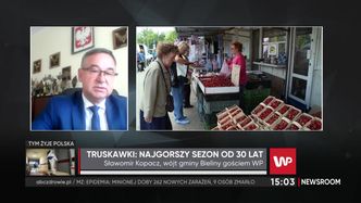 Fatalny rok dla truskawek. "Najgorzej od 30 lat"