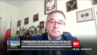 To już koniec sezonu na truskawki. Zostały tylko najdroższe