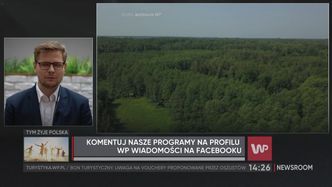 Wycinka lasów na opał? Minister środowiska dementuje