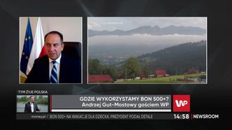 Bon turystyczny nie na lody i gofry. Wiceminister rozwoju tłumaczy