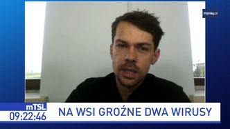 Na wsi szaleją dwa wirusy. "Państwo jest bezsilne"