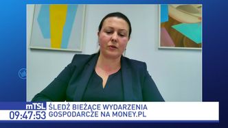 Polska sieć płaci podatek handlowy, konkurenci - nie. "Oddajemy większość zysku"
