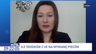 Program "Czyste powietrze" do zmiany? "Potrzebne są reformy"