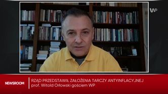 Tarcza antyinflacyjna. Prof. Orłowski: Prąd i gaz i tak zdrożeją