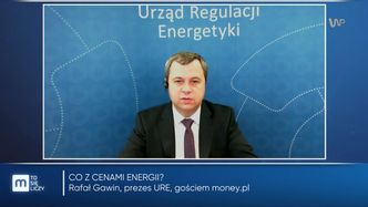 Rząd naciska? Prezes URE o podwyżkach cen energii