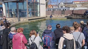 Wyjątkowe miejsce w Polsce. "Codziennie mamy kilka zgłoszeń"
