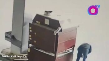 On to naprawdę ukradł. Sceny w Legnicy