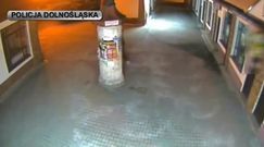 Włamywacz z psem na czatach