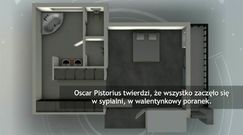 Jak doszło do śmierci Reevy Steenkamp? 