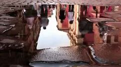 Wiedeński odlot w 3D