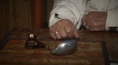 Kradzieże w domkach letniskowych [Paragraf]