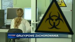 Świńska grypa w Polsce