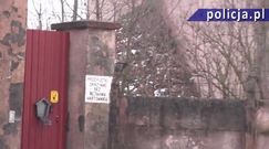 Ogromna plantacja "trawki"