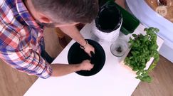 Jak wyhodować własne warzywa na balkonie?