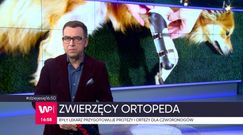 Kiedyś leczył ludzi, dziś ratuje niepełnosprawne zwierzęta