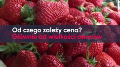 Kosmiczne ceny truskawek. Już 26 zł