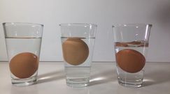 Test jajek. Jak sprawdzić które są świeże?