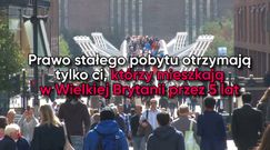 Polacy w Wielkiej Brytanii. Jaka przyszłość po Brexicie?