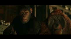 "Wojna o planetę małp" - pierwszy fragment