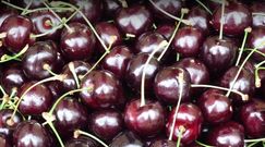 Czereśnia czereśni nierówna. Oto popularne odmiany