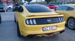 Fordy Mustangi ze Stajni Mazowieckiej przed Stadionem Narodowym