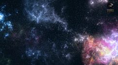 Geny ośmiornic nie pochodzą z Ziemi 