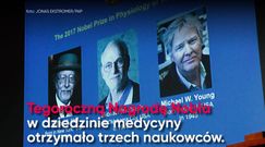 Jak działa zegar biologiczny? Nobel w dziedzinie medycy 2017